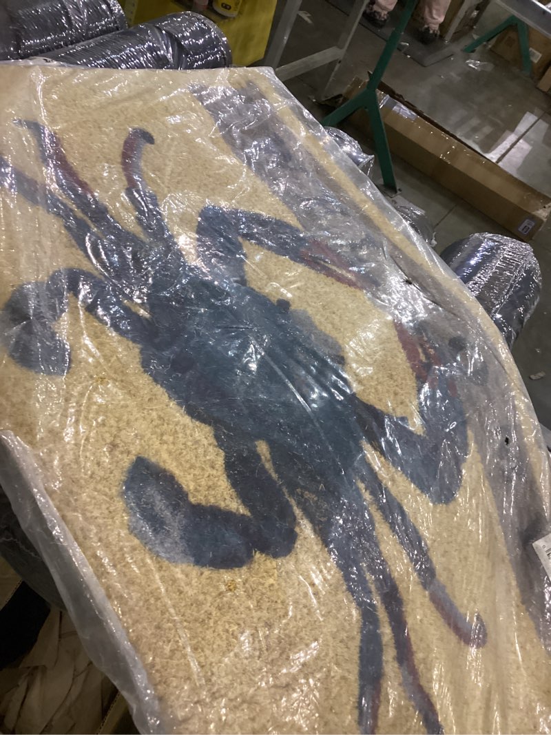 Condition photo showing New/Like New for HF by LT Welcome Crab 100% Coir Doormat, 18 x 30 inches, Naturally Durable, PVC-Backing, Sustainable