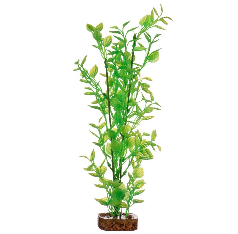 Assortment of Small Pet Items, Miscellaneous Small, Variety of Items, Multiple Pieces, 5 pieces total 