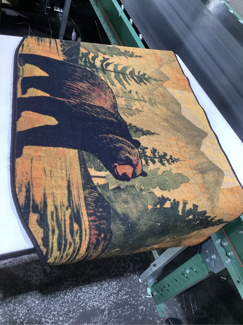 Condition photo showing Good Condition for demissle fireplace hearth rug fireplace mats cabin southwestern fireproof fire resistant rug for wood stove floor for kitchen indoor outdoor(bear,27 x 48 inch) 2'3" x 4' (rectangular) bear