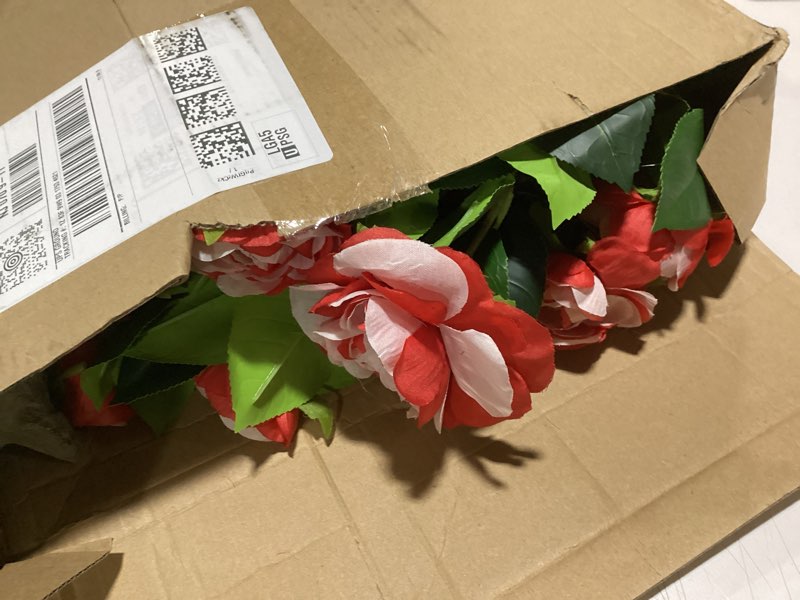 Condition photo showing Good Condition for 2 pack 3ft artificial camellia plants tree 36" faux camellia flower with spike uv resistant realistic fake floral blooming bush for indoor outdoor front door porch backyard garden, red white 3 ft red white bicolor 2