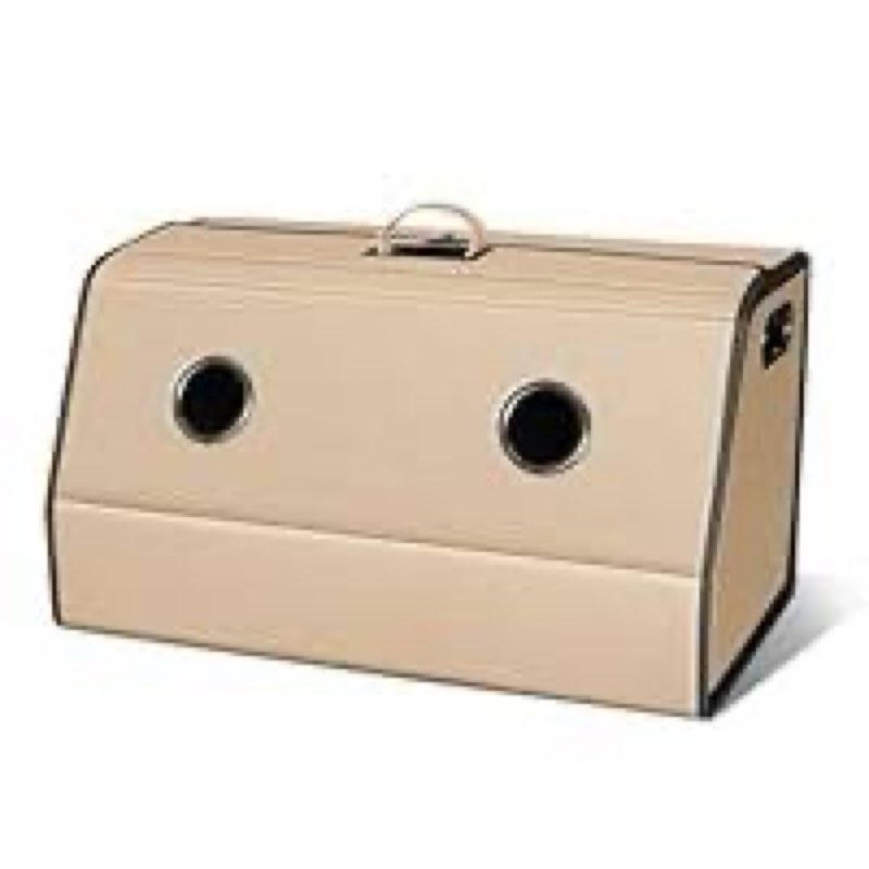 Car trunk organizer