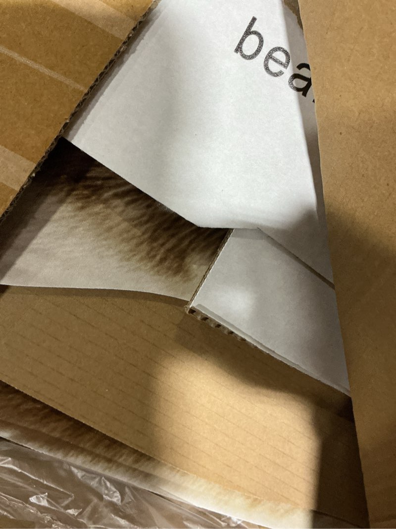 Condition photo showing As Is for Bear - Life Size Cardboard Cutout Standup People with Support Standee | Animals -1