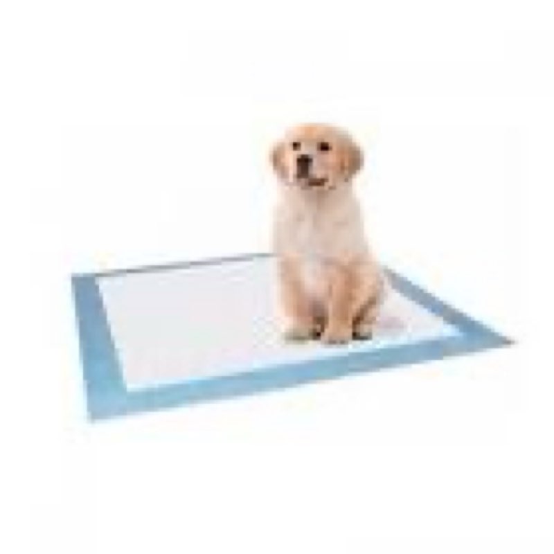 100 count 22” x 22” super absorbency disposable underpads | leakproof quick drying disposable pads for baby, puppy and adults, cat pee pads for dogs, potty puppy training pads