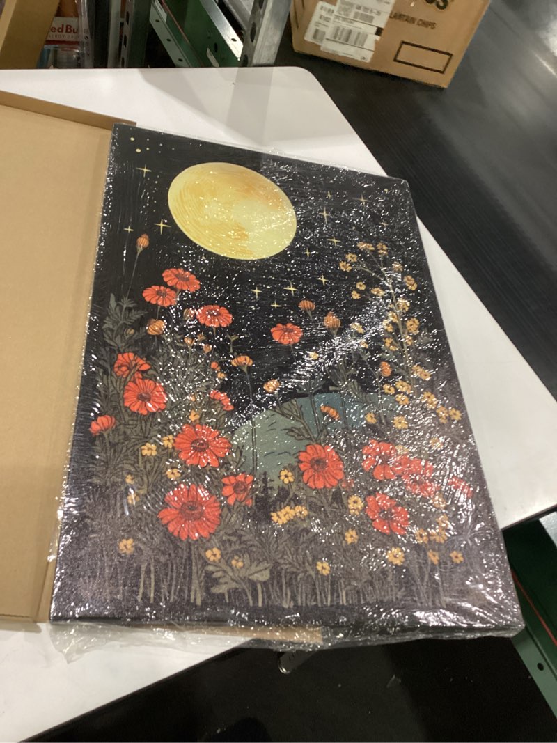 Condition photo showing Good Condition for GUBIYU Moon and Flowers Vintage Block Print Moon Art Print Mystical Celestial Decor Cottagecore Flowers Floral Decor Whimsy Goth Decor Witchy Wall Art Moon Bathroom Decor Celestial Wall Decor 16\"x24\"