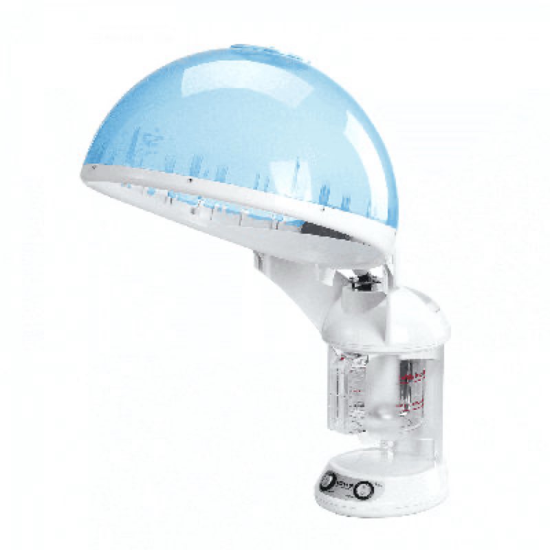 DENFANY Hair Steamer, 2 in 1 Hair and Face Steamer for Natural Hair with UV Ozone, Face Steamer Hair