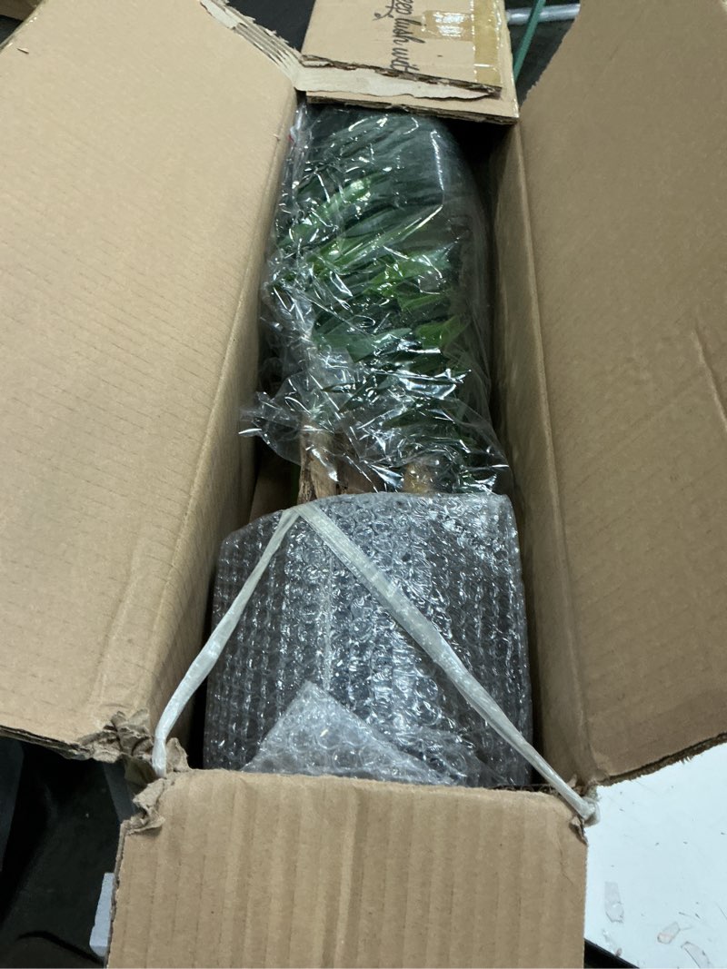 Condition photo showing New/Like New for Artificial Palm Tree 6ft Tall Fake Palm Tree Indoor Decor with 18 Leaves and Real Bark Design Faux Tropical Areca Palm Silk Floor Plant in Pot for Home Office Living Room Bedroom Decor 1pcs 1 6ft