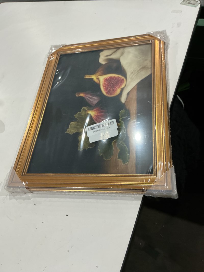 Condition photo showing Good Condition for arpeotcy gold framed canvas wall art, 12x16 vintage fig still life painting, antique fruit artwork for kitchen wall decor, rustic dining room framed art, retro farmhouse home decoration for counter or shelf display still life of figs 16"l x 12"w