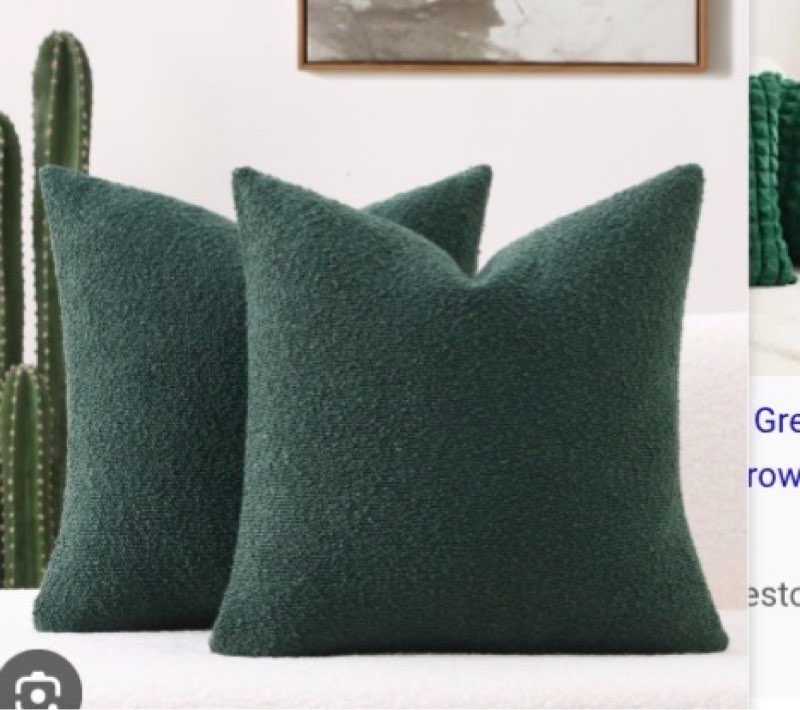 FUTEI Dark Green Flannel Throw Pillow Covers 18x18 Inch Set of 2,Soft Dimensional Textured Cushion C