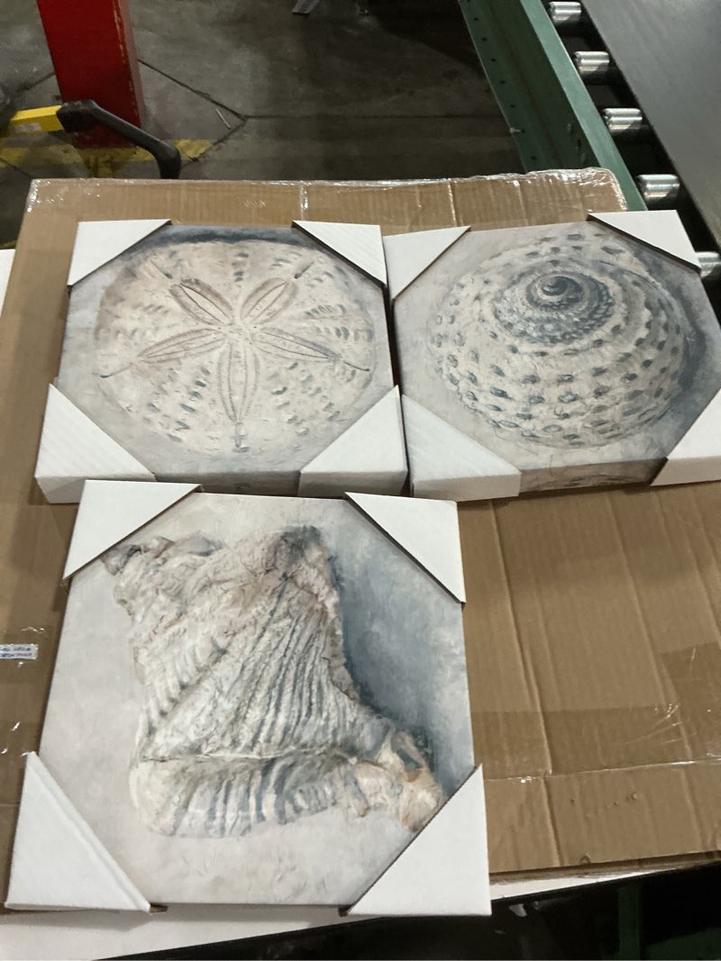 Condition photo showing As Is for greatbigcanvas blue shell study iv canvas wall art print, seashell home decor artwork, 10\"x10\"(similar no same) pack of 3 different )