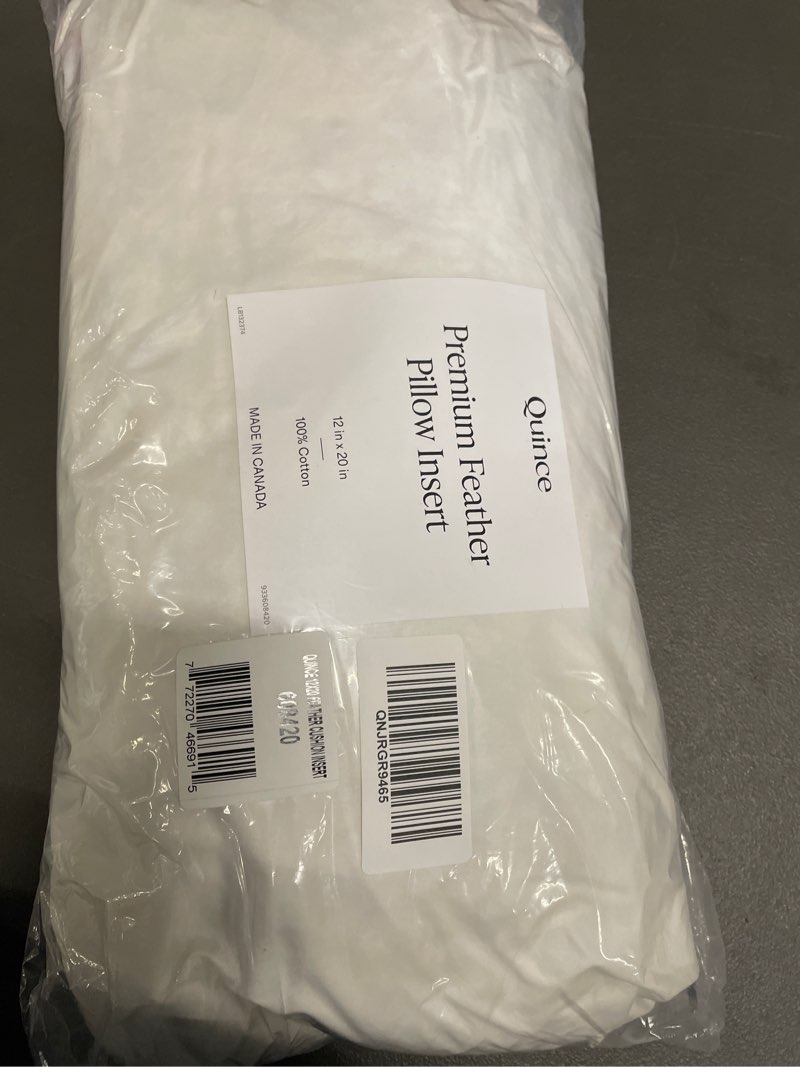 Condition photo showing New/Like New for premium feather pillow insert, 12x20, no color