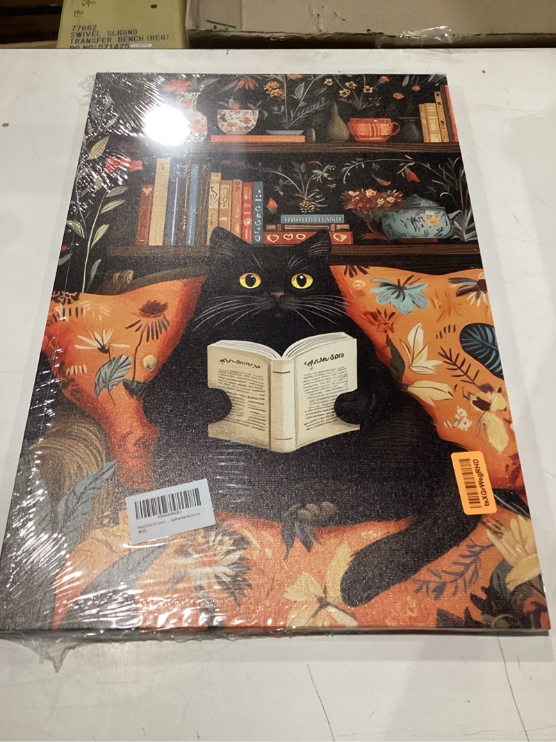 Condition photo showing New/Like New for framed funny black cat canvas wall art boho cat reading book picture wall decor cute animal poster print artwork for reading room living room office study room home decoration 16x24in canvas 16l''x24w''