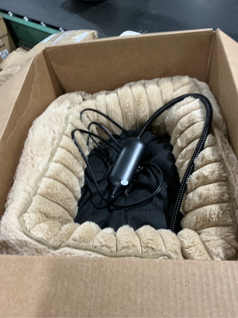 dog bed