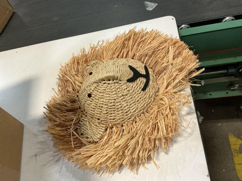 Condition photo showing Good Condition for Creative Co-Op Savannah King Raffia Lion Wall Art, Natural
