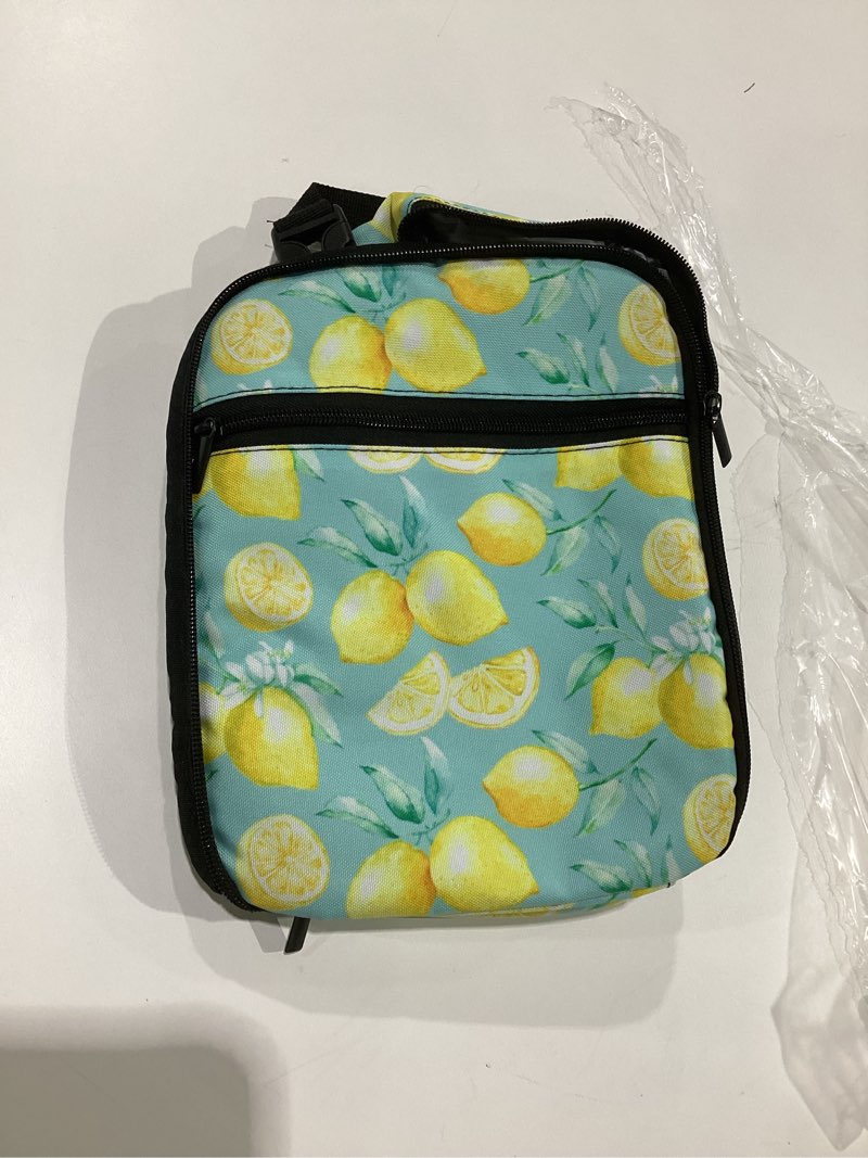 Condition photo showing As Is for Lemon Stripes Insulated Lunch Bag for Women Men Reusable Lunch Box Cooler Bag Large Leakproof Lunch Tote with Adjustable Shoulder Strap for Adult Work Picnic Camping Beach Office, SIMILAR TO STOCK PHOTO 