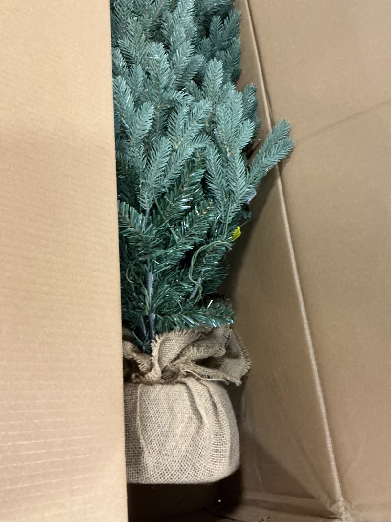 Condition photo showing Good Condition for National Tree Company 4 ft Pre-Lit Everyday Collection Mini Artificial Christmas Tree, 150 Clear Lights, 643 Tips, Burlap Base, Green