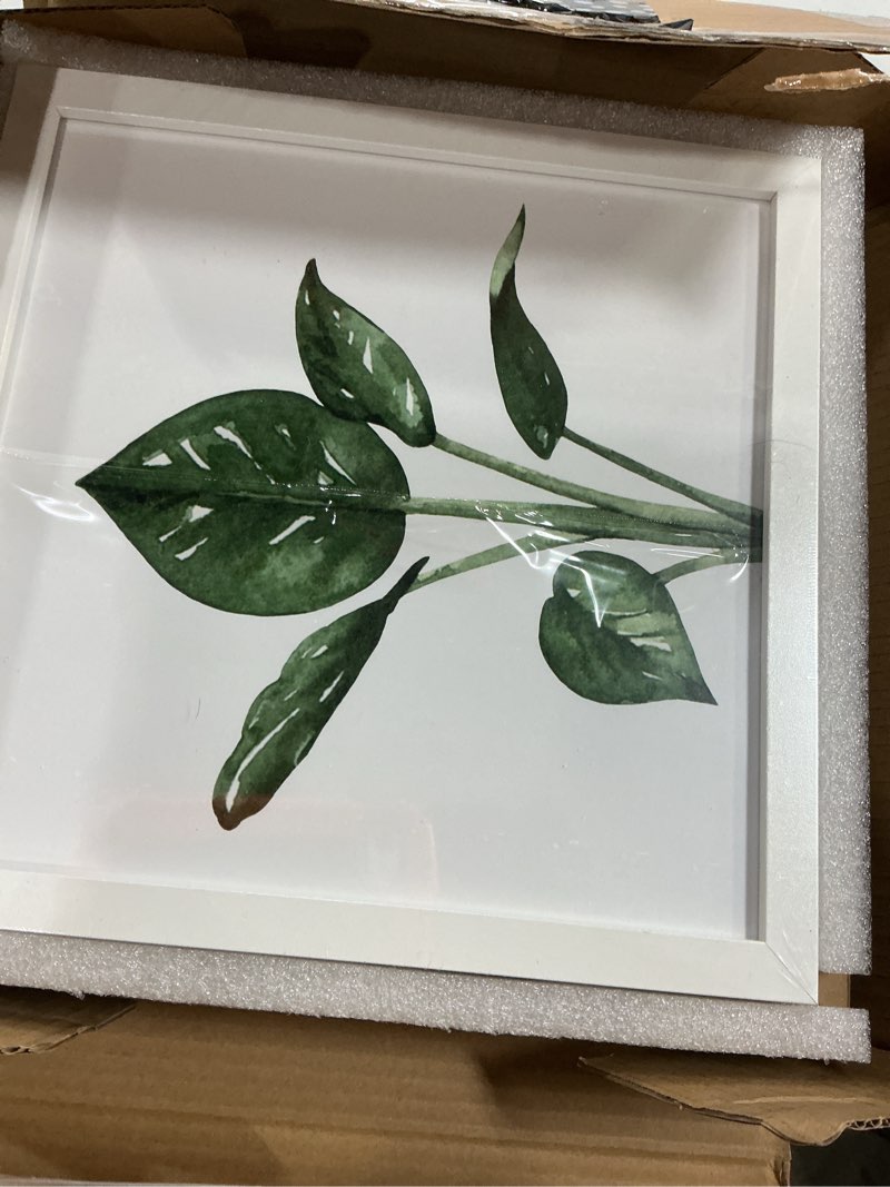 Condition photo showing Good Condition for artbyhannah 10x10 inch 4 panels botanical framed white picture frame set for wall art dã©cor with green leaf tropical plant square frame for bathroom decoration