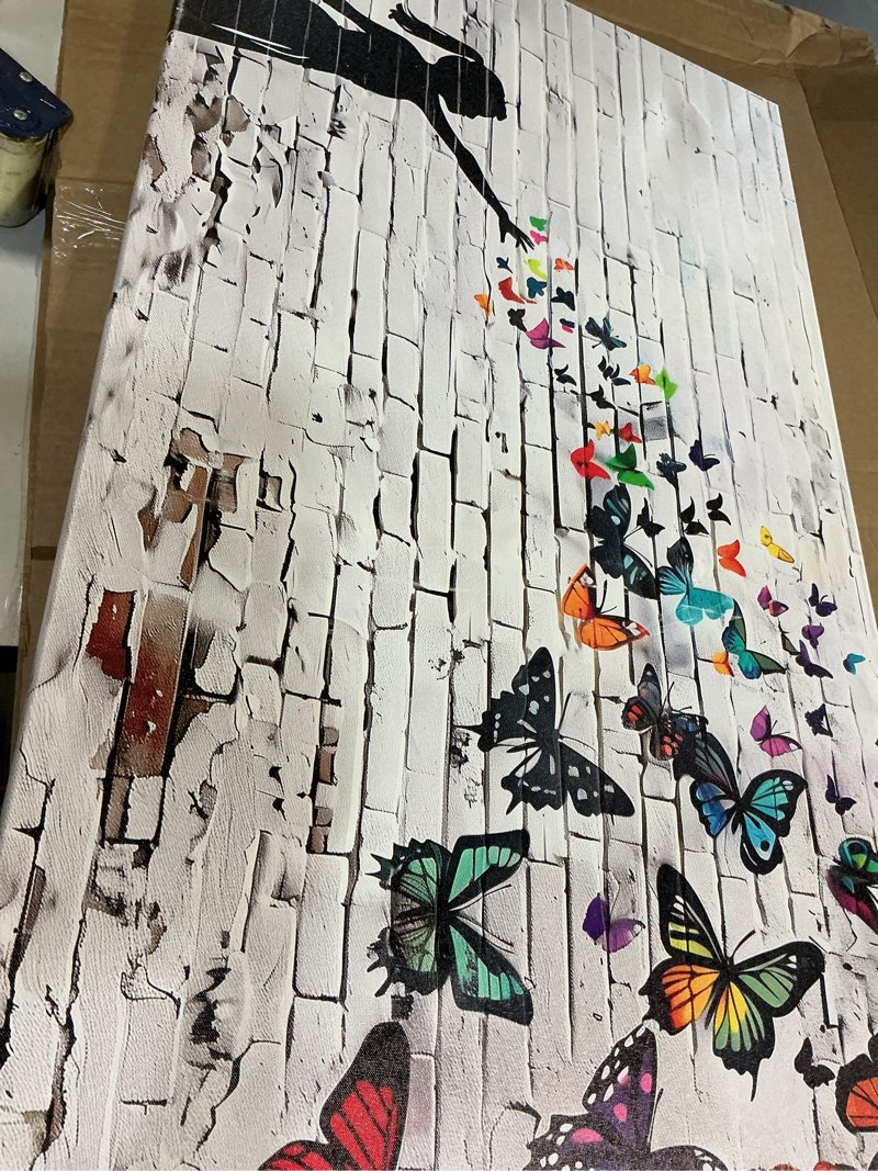 Condition photo showing As Is for canvas wall art butterfly girl - modern graffiti paintings for living room, bedroom wall decor, framed wall art for home or office decoration 48x24in 48"l x 24"w m