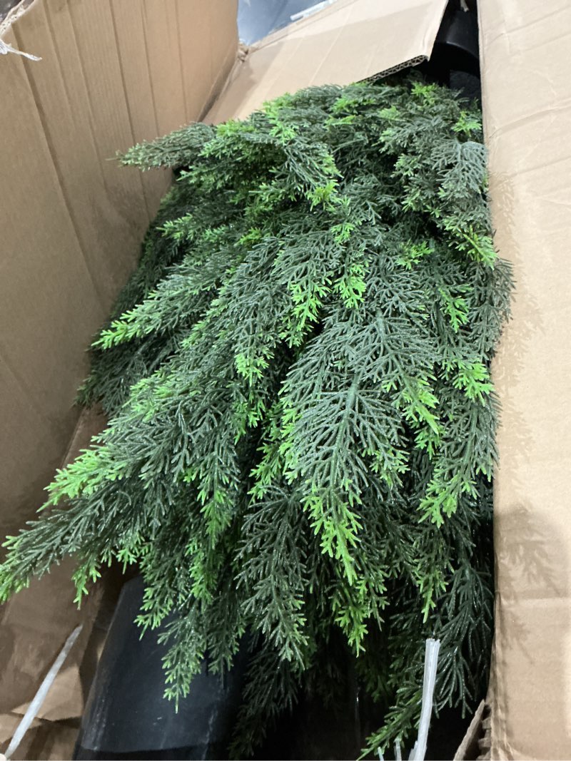 Condition photo showing Good Condition for briful 5ft artificial cedar topiary trees set of 2 – realistic faux cedar pines in pots, uv resistant outdoor porch & entryway plants, all-season evergreen decor for patio, farmhouse & holiday 2pcs 5ft cedar 5ft