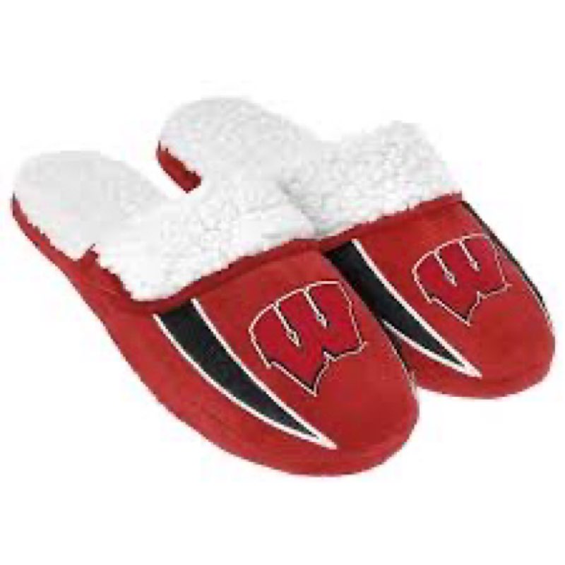 FOCO Mens NCAA College Team Logo Sherpa Slide Slippers, Team Color, 9-10 US