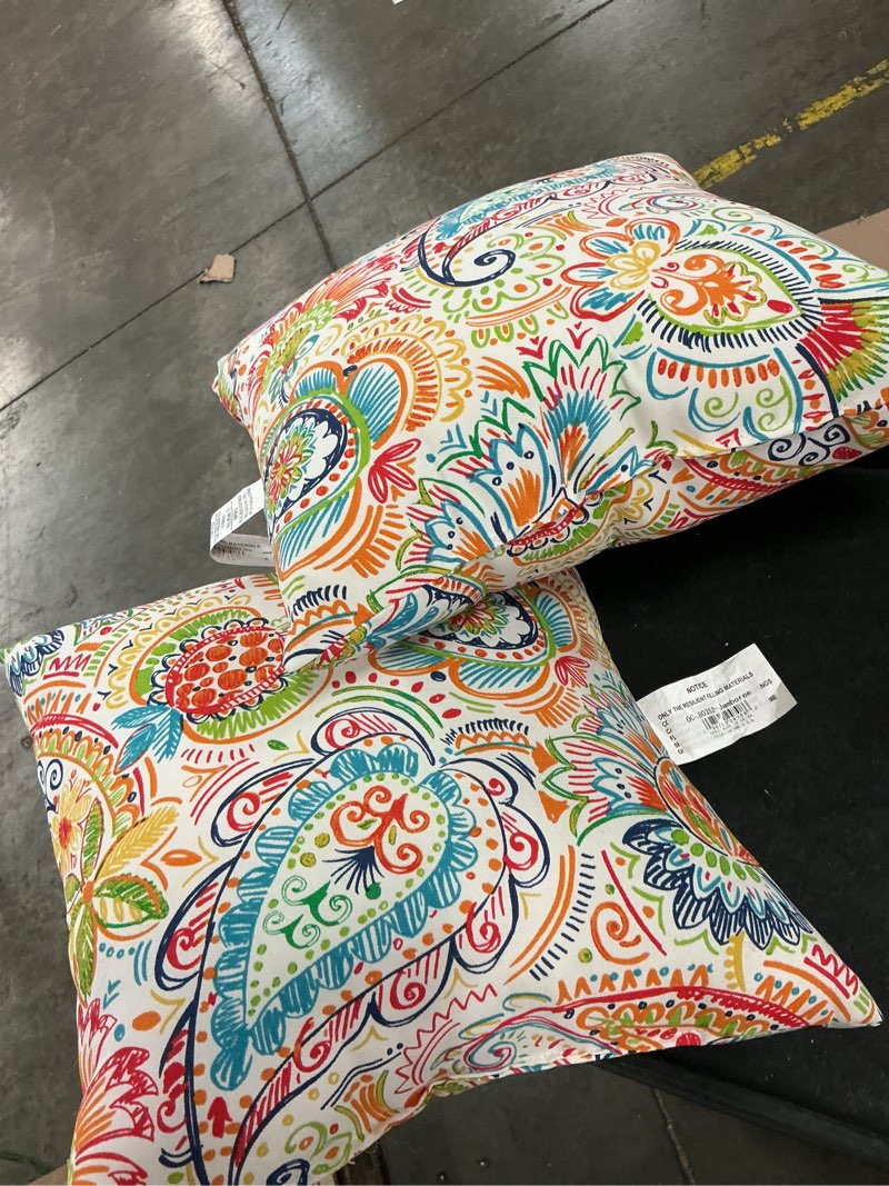 Condition photo showing Good Condition for jamboree paisley square outdoor throw pillow (2-pack)