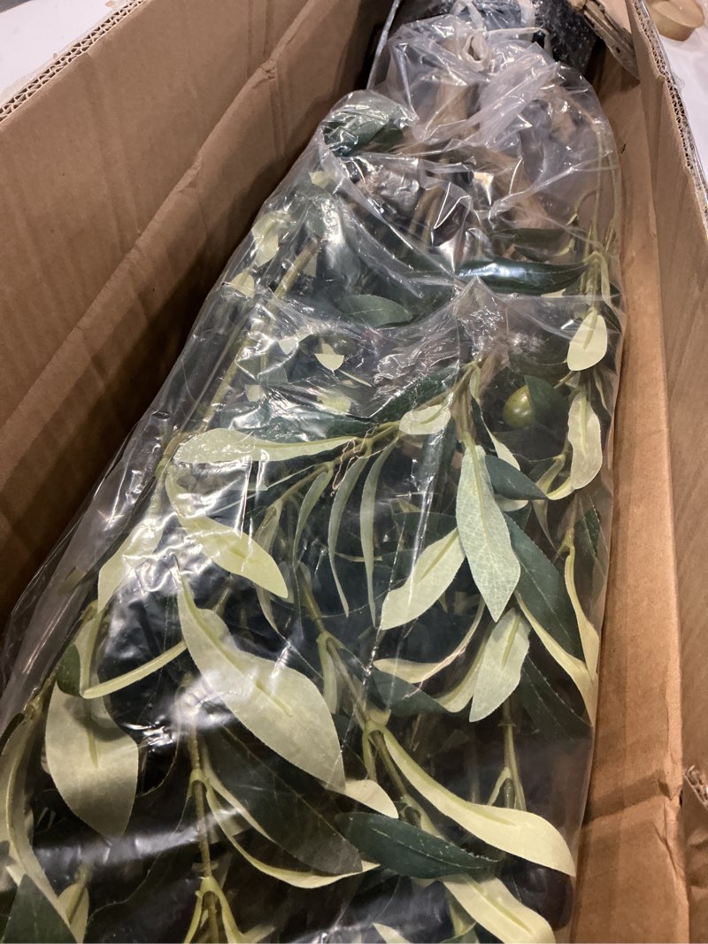 Condition photo showing Good Condition for Bellacat Faux Olive Tree 6ft?Olive Trees Artificial Indoor with Natural Wood Trunk and Realistic Leaves and Fruits. 6 Feet(72in) Fake Olive Tree for Home House Office Décor. 1 6ft