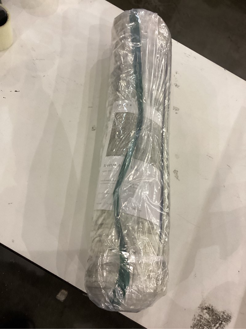 Condition photo showing New/Like New for Loloi II Rosette Collection ROS-01 Beige/Multi, Traditional 5 Area Rug