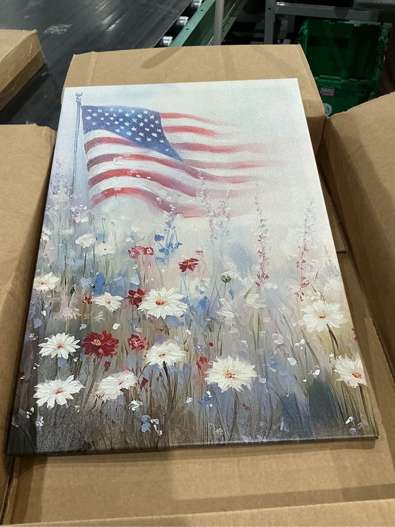 Condition photo showing Good Condition for swqylb patriotic pictures wall decor american flag landscape wall art floral print artwork wildflower painting canvas farmhouse bedroom home decor framed (16" x 24")