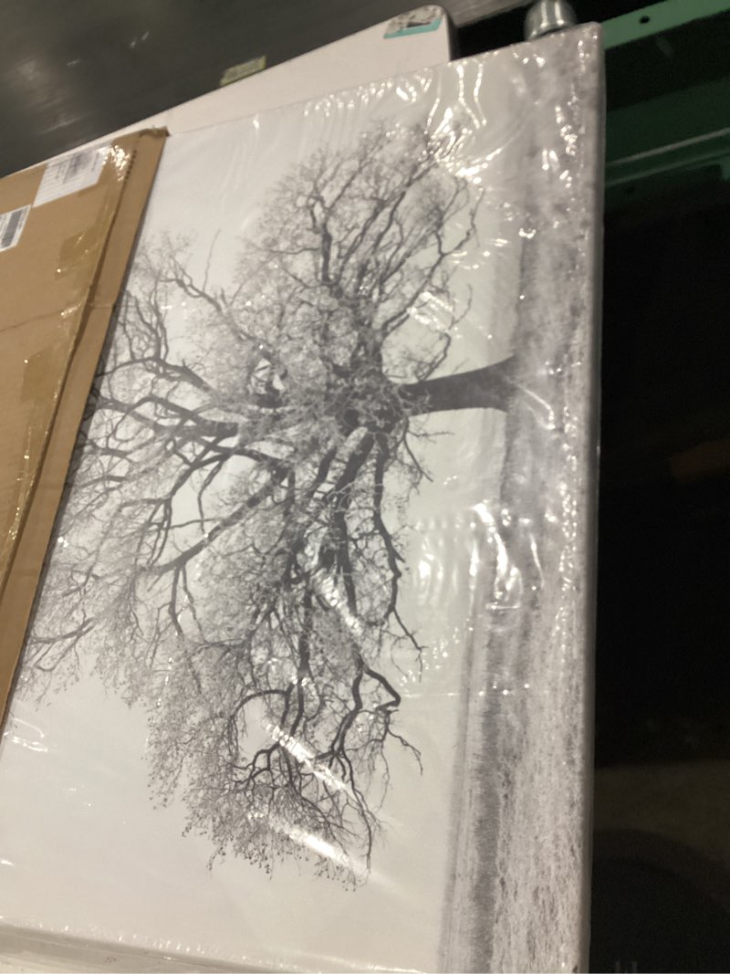 Condition photo showing Good Condition for Hardy Gallery Winter Tree Canvas Wall Art: Black & White Tree Picture Print Artwork for Living Rooms Wall Decor (24'' x 18'') White Tree 24"L x 18"W