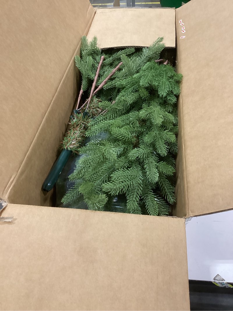 Condition photo showing As Is for 6FT Artificial Norfolk Christmas Tree, Slim Christmas Tree UV Resistant for Outdoor & Indoor Use Holiday Christmas Decor 6ft Norfolk Tree