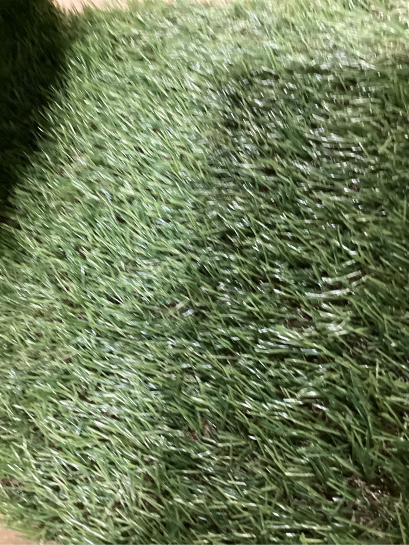 Condition photo showing Good Condition for premium artificial grass 3' x 8' outdoor rug, 1.38" realistic thick turf for garden, yard, fake lawn, dogs synthetic grass mat, rubber backed with drainage holes, customized sizes 3 x 8 feet