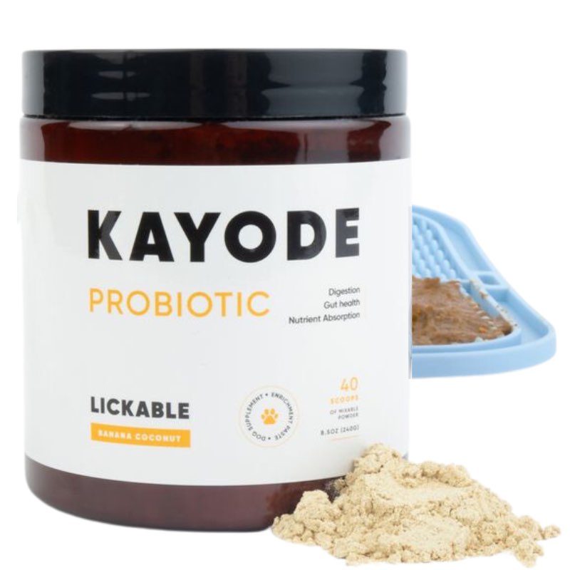 Kayode probiotic lickable bana coconut 40 scoops