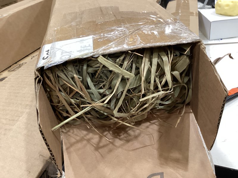 Condition photo showing Good Condition for layhit 3 pcs 4.3ft jumbo natural dried palm leaves tall boho home decor tropical dried palm leaves rustic wedding centerpieces for home wedding farmhouse party anniversary boho decor