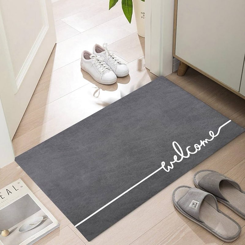 LYGLIGH Welcome Mat Indoor, Ultra Thin Door Mat, Thin Door Mats for Inside Entry, Non-Slip R Size 35x23 