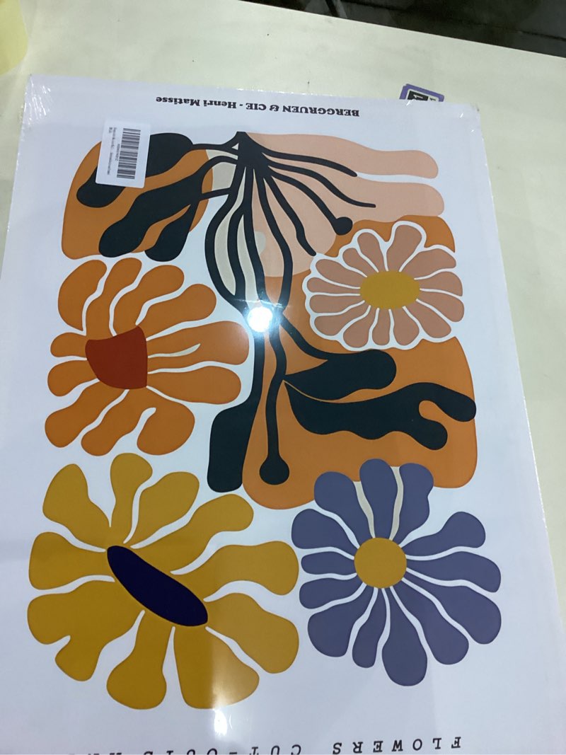 3Pcs Framed 16x24in Matisse Wall Art Canvas Colorful Boho Flower Posters Abstract Pictures Minimalis