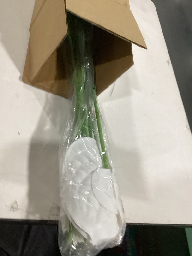 Condition photo showing Good Condition for Hanaive 20 Pcs Artificial Anthurium Flowers 23.6 Inch Fake Anthurium Flowers for DIY Vase Bouquets Centerpiece Arrangements Wedding Bridal Shower Party Home Decor(White)