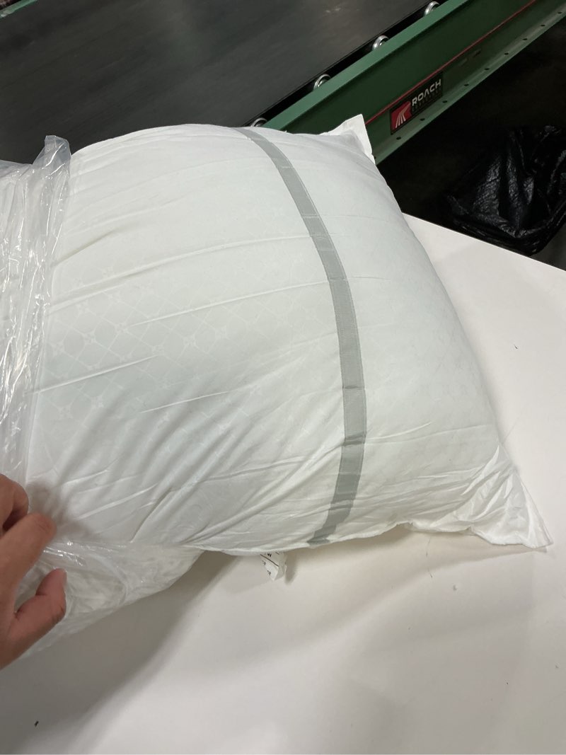Condition photo showing As Is for Sertapedic Won't Go Flat Pillows, Set of 2 Standard