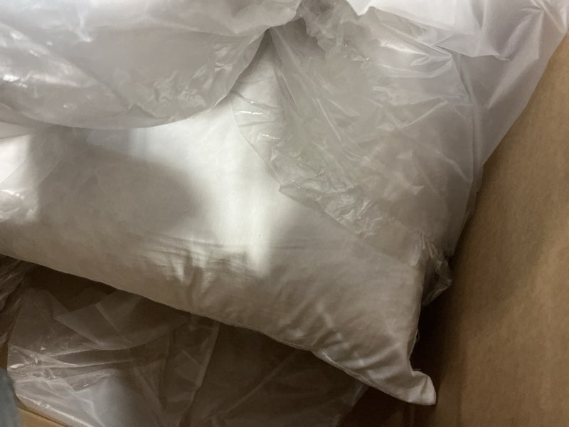 Condition photo showing As Is for BPC Organic Feather Down Throw Pillow Inserts 12x20 Inches, 100% Organic Cotton Cover, Rectangle Decorative Lumbar Pillow Inserts Set of 2 for Bed, Sofa and Couch, White 12x20 Inch (Pack of 2) White