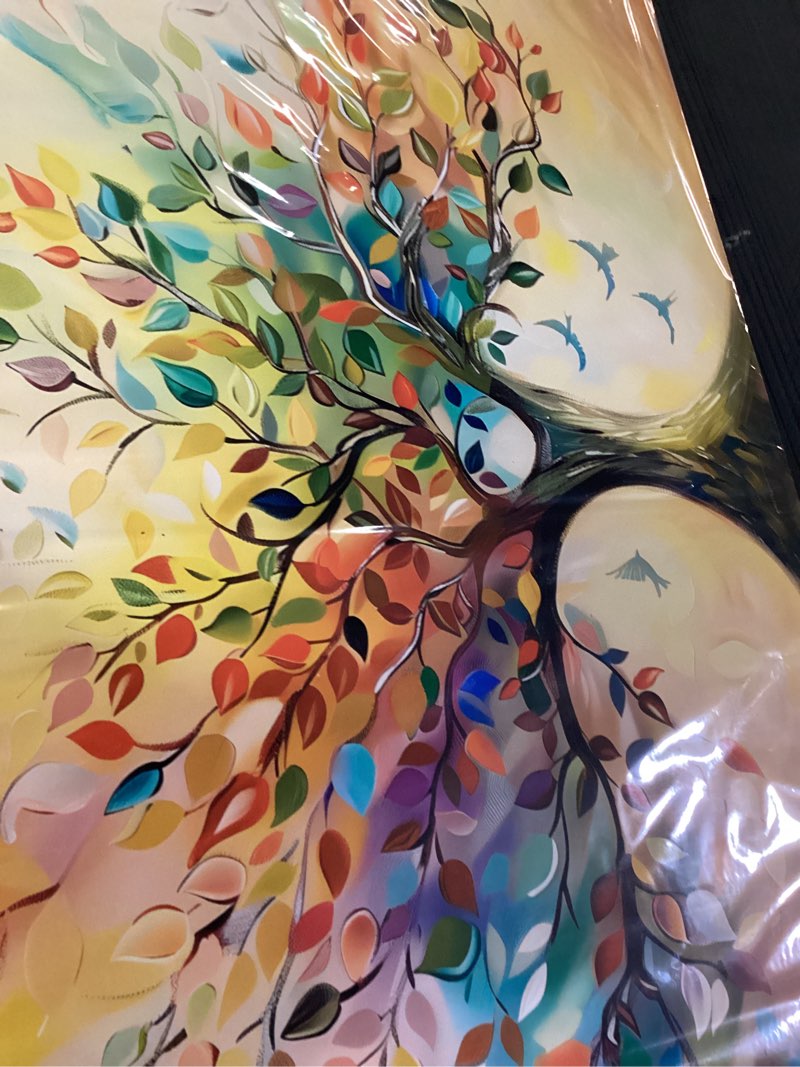 Condition photo showing Good Condition for Vibrant Tree of Life Wall Art Colorful Framed Canvas Print for Living Room, Bedroom, Dining Room, or Home Office Modern Ready to Hang Decor,Nature Inspired Home Decoration - 24"x48" 48"L x 24"W 006-Tree