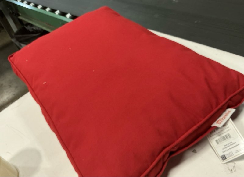 Condition photo showing Good Condition for Sunbrella Double Sided Dog Bed for Indoor/Outdoor,Washable Cover & Chew Proof, Pets Mat for Multipurpose, Easy Care & Pet Safe Products (Small, Polyester, Cherry Red, 26”x18”x 3\") Red Small