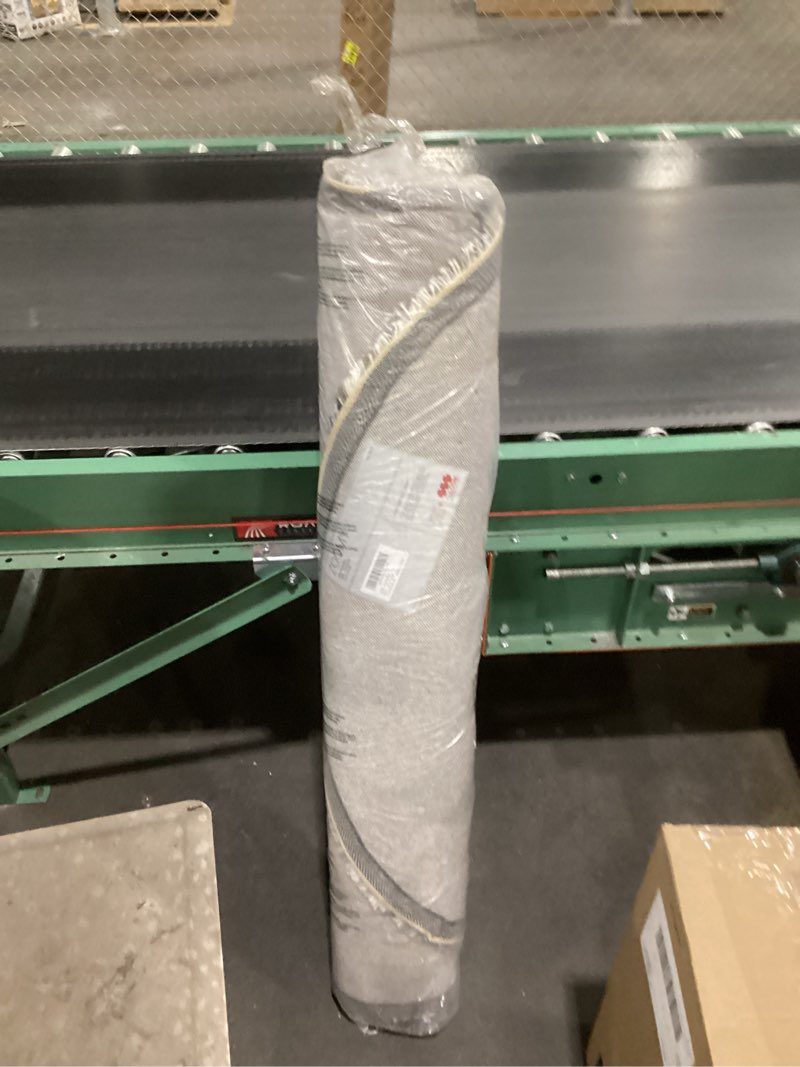 Zoomy 4’x6’ area rug