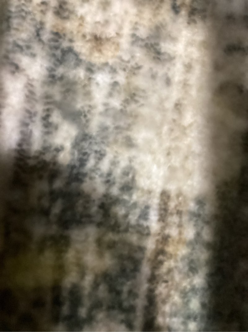 https://lotting-media.assets.bidfta.com/lotting_53c45d60-be92-463b-b40b-665c26a89368