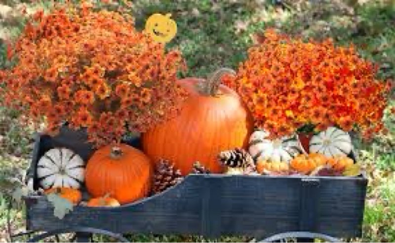 AITISOR 16 Packs Arti...d Color) (Fall Coffee) New Made In China