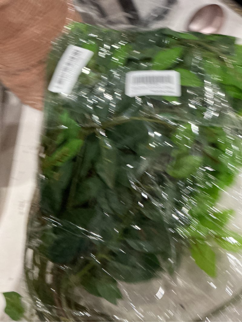 Condition photo showing Good Condition for xonor artificial greenery leaves stems, 10 bundles faux silk green leaf garland branches hanging greenery spray for wedding bouquet, arch, table centerpieces and home decor (10bundles, green) 10 green