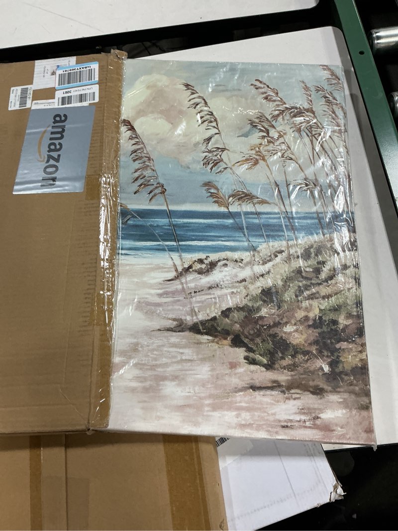 Condition photo showing New/Like New for ARTISTIC PATH Abstract Ocean Artwork Coastal Picture: Beach Painting Sea Birds Wall Art Print on Canvas for Office Living Room (18" W x 24" H,Multi-Sized)