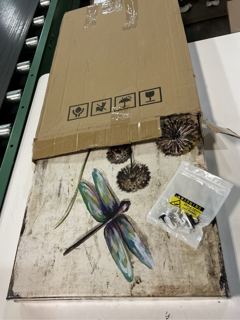 Condition photo showing New/Like New for KLVOS Dragonfly Canvas Wall Art Decor Vintage Insect Dragonflies Dandelion Picture Print on Canvas Modern Animal Artwork Framed for Bedroom Bathoom Ready To Hang