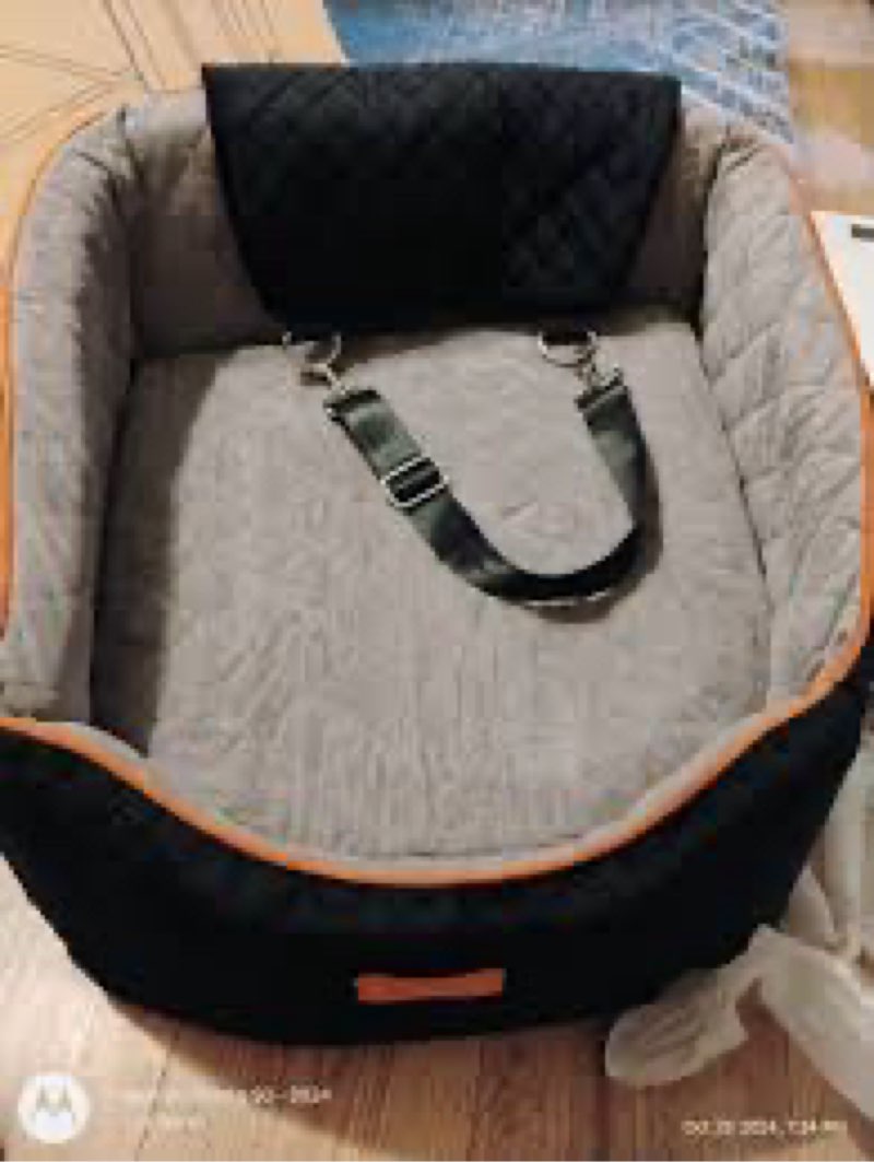 Pet car seat