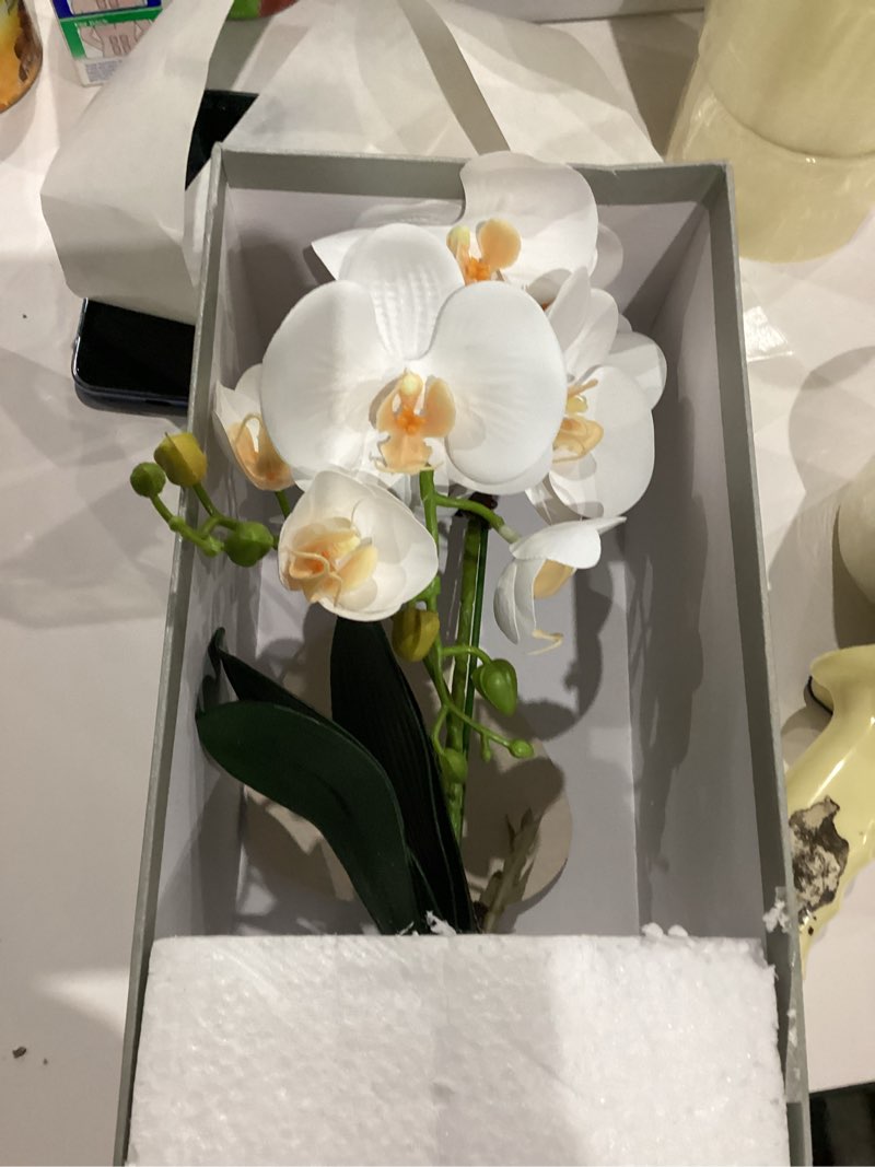 Condition photo showing Good Condition for Forlaoers Tall 17" White Real Touch Orchid Artificial Flowers with Vase Fake Orchids Silk Floral for Home Decor Indoor Bathroom Decoration Potted Office Table Top Centerpieces Arrangements A1:white Orchid With Vase