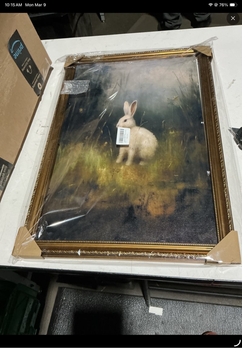 Condition photo showing Good Condition for Vintage Framed Wall Art for Living Room, Dark Academia Decor Wild Hare Rabbit Vintage Oil Painting, Retro Animal Bunny Canvas Art Prints, Gold Framed Artwork for Dark Cottagecore Wall Decor, 16\\\"x24\\\" Rabbit 16\\\"L x 24\\\"W