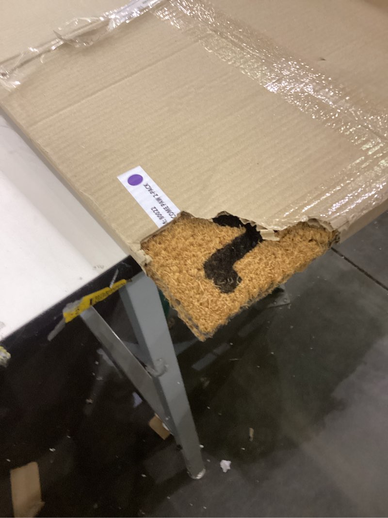 gertmenian peanuts snoopy coir doormat - 2x3 welcome mat (2-pack), ideal for high traffic areas in f