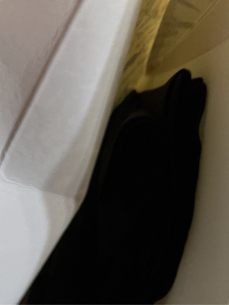 Condition photo showing Good Condition for IRISMORII 2 Pack Women’s Boy Shorts Panties Firm Tummy Control Underwear for Ladies Seamless Anti Chafing Biker Shorts X-Large Skin-skin